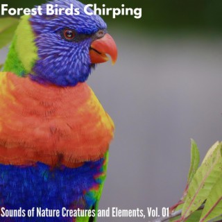 Forest Birds Chirping - Sounds of Nature Creatures and Elements, Vol. 01