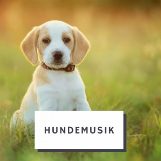 Hundemusik