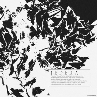 IEDERA