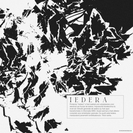 IEDERA//#NO.1 | Boomplay Music
