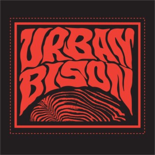 URBAN BISON