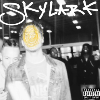 Cliff Skylark