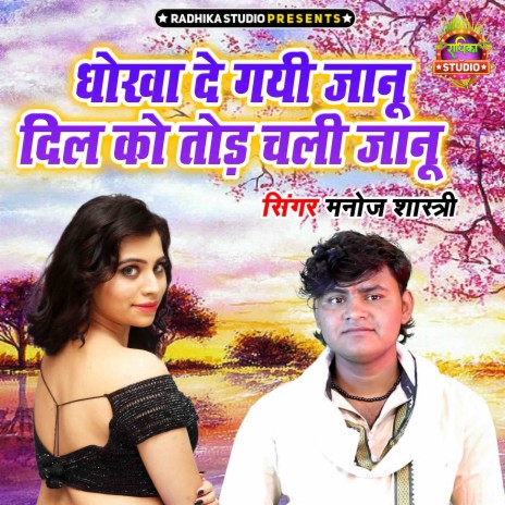 Dhokha De Gayi Janu Dil Ko Tod Chali Janu | Boomplay Music