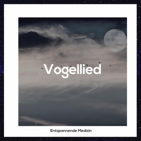 Vogellied für den Schlaf | Boomplay Music