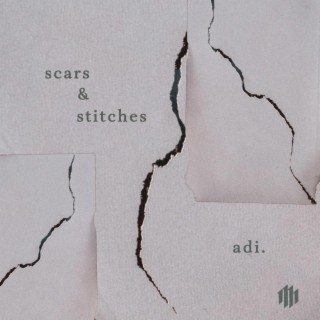 scars/stitches