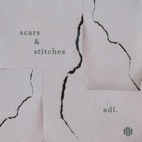 scars/stitches | Boomplay Music