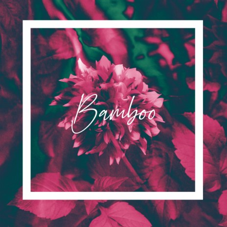 Bamboo ft. Ferreck Stnd | Boomplay Music
