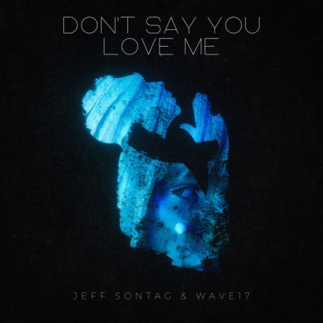Don't Say You Love Me ft. WAVE17