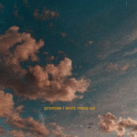 promise I won't mess up | Boomplay Music