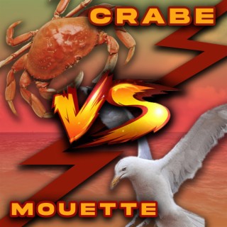 CRABE VS MOUETTE