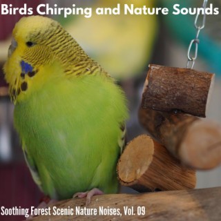 Birds Chirping and Nature Sounds - Soothing Forest Scenic Nature Noises, Vol. 09