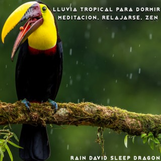 Lluvia Tropical para Dormir, Meditacion, Relajarse, Zen