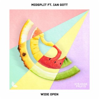 Wide Open (feat. Ian Gott)