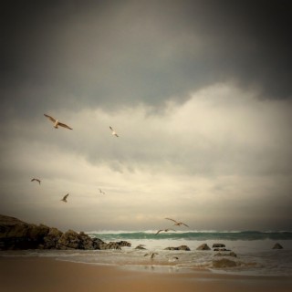 Sound of Sea Waves and Seagulls to Relax and Calm the Mind