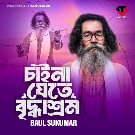 Chaina Jete Briddhasrom (Baul Sukumar Song) ft. AH Turjo | Boomplay Music