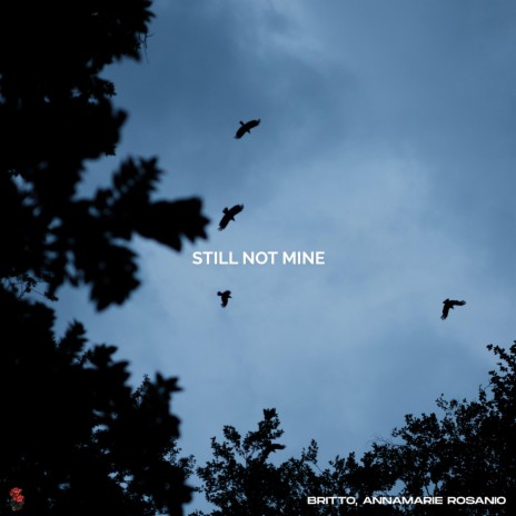 Still Not Mine ft. Annamarie Rosanio | Boomplay Music