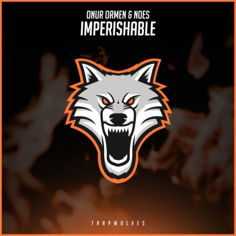 Imperishable ft. NOES | Boomplay Music