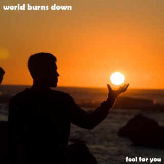 world burns down