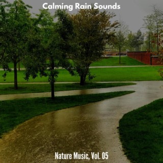 Calming Rain Sounds - Nature Music, Vol. 05