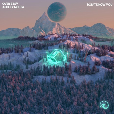 Don't Know You ft. Ashley Mehta | Boomplay Music