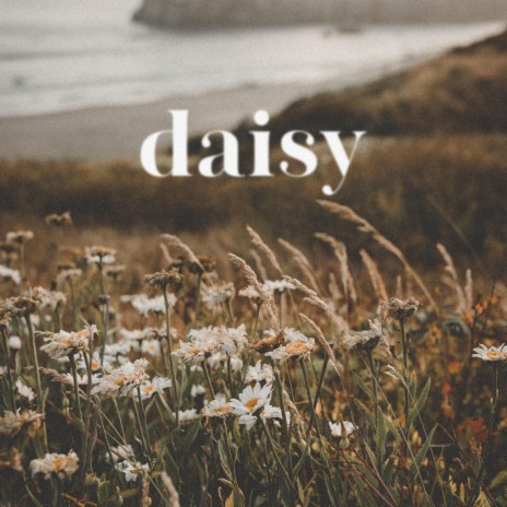 daisy ft. Martin Arteta & 11:11 Music Group | Boomplay Music