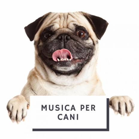 Musica rilassante per cani | Boomplay Music