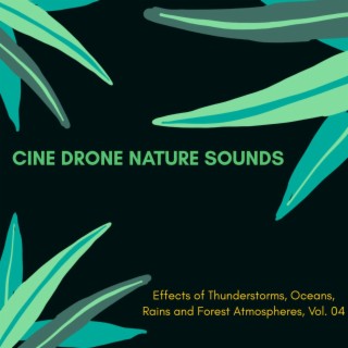 Cine Drone Nature Sounds - Effects of Thunderstorms, Oceans, Rains and Forest Atmospheres, Vol. 04