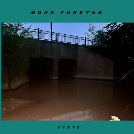 Gone Forever | Boomplay Music