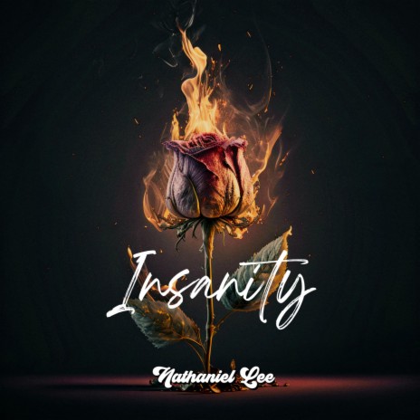 Insanity (Acoustic) | Boomplay Music