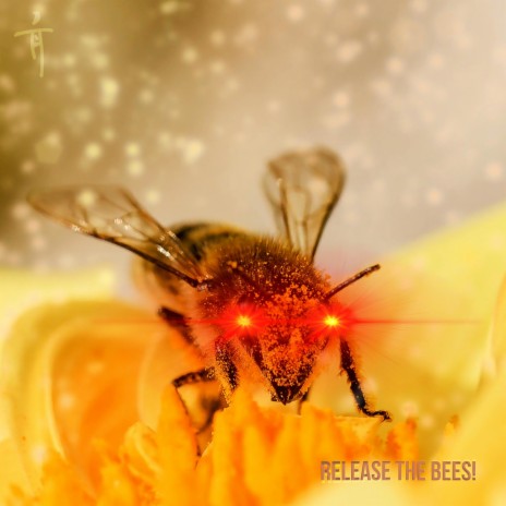 Release the BEES! | Boomplay Music