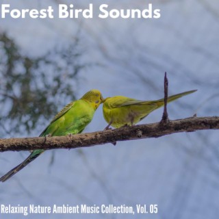 Forest Bird Sounds - Relaxing Nature Ambient Music Collection, Vol. 05