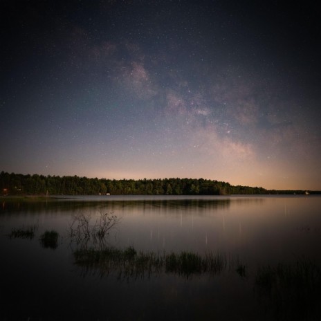Sounds of Frogs in a Lake on a Summer's Night ft. Natural Samples & Mother Nature FX