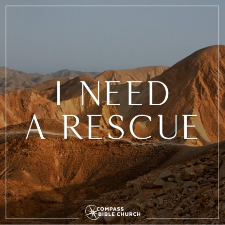 I Need a Rescue | Boomplay Music