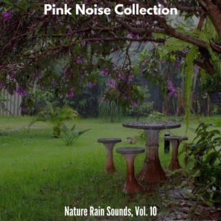 Pink Noise Collection - Nature Rain Sounds, Vol. 10