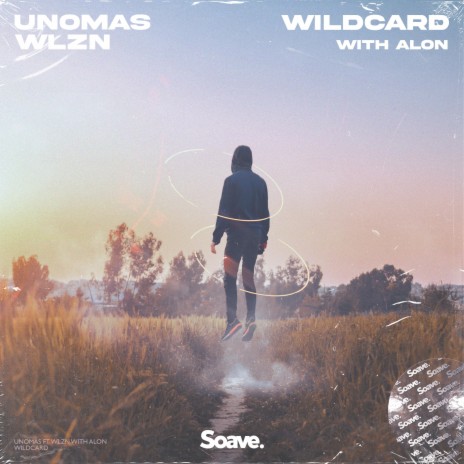 Wildcard ft. Alon & WLZN | Boomplay Music