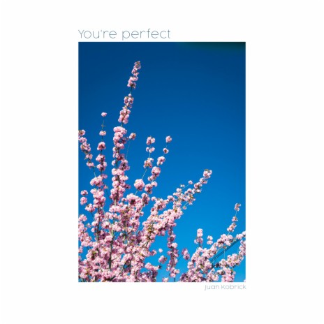 You're perfect ft. Martin Arteta & 11:11 Music Group | Boomplay Music