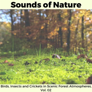 Sounds of Nature - Birds, Insects and Crickets in Scenic Forest Atmospheres, Vol. 02