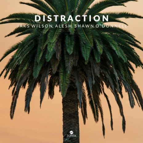 Distraction ft. ALESH & Shawn O'Donnell | Boomplay Music
