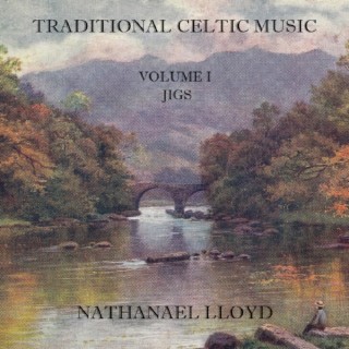 Traditional Celtic Music: Volume I—Jigs