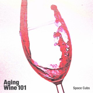 Aging Wine 101