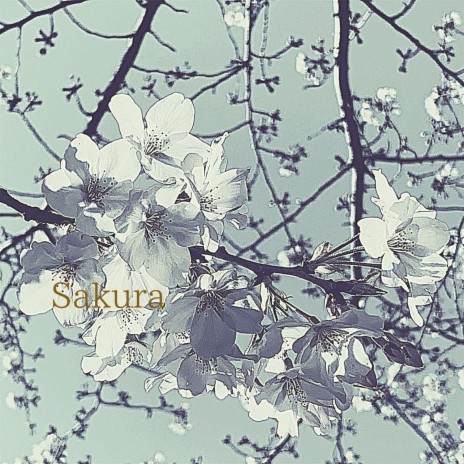 Sakura ft. Kyoto Sound | Boomplay Music