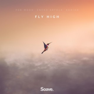 Fly High