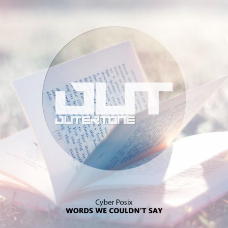 Words We Couldn't Say ft. Outertone | Boomplay Music