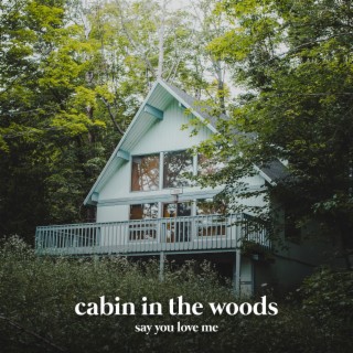 Cabin in the Woods