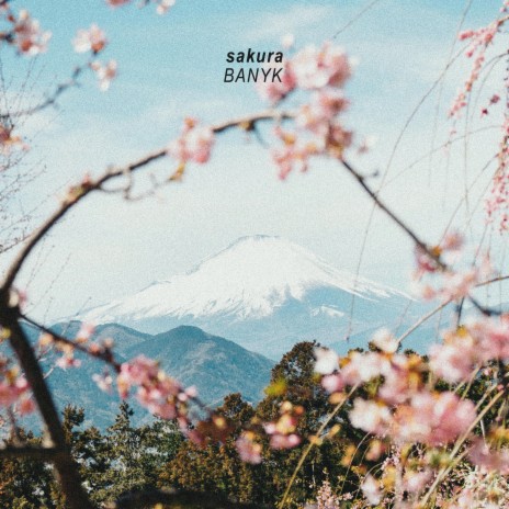 Sakura ft. Martin Arteta & 11:11 Music Group | Boomplay Music