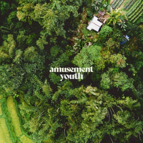 Amusement ft. Martin Arteta & 11:11 Music Group | Boomplay Music