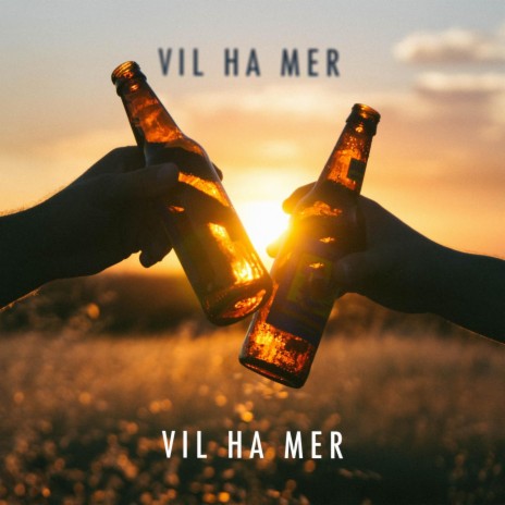 Vil Ha Mer | Boomplay Music