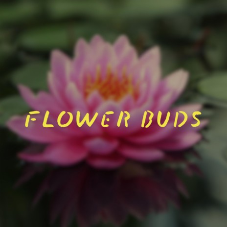 Flower Buds