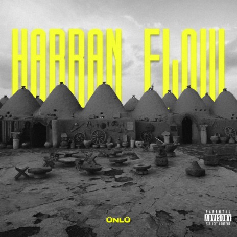 Harran Flow | Boomplay Music