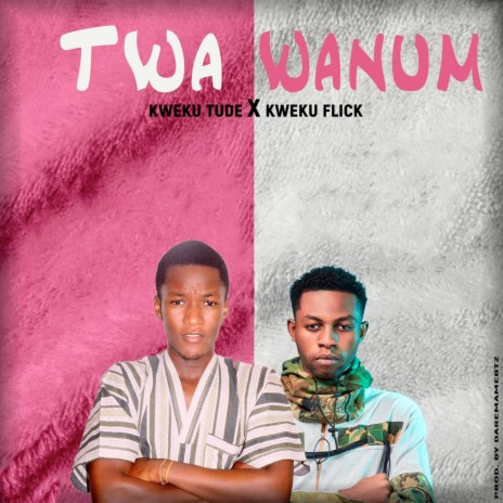 Twa Wanum ft. Kweku flick | Boomplay Music